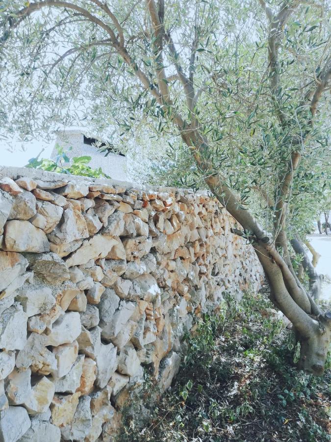 Lavender House * Mandre