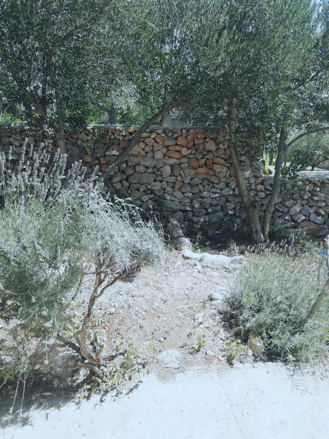 Lavender House