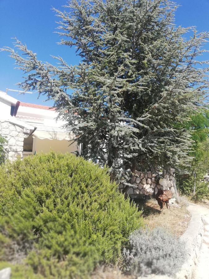 Lavender House * Mandre