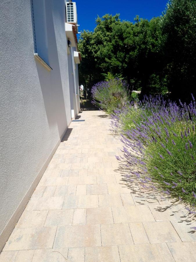 Lavender House Mandre